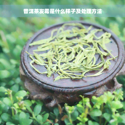 普洱茶发霉是什么样子及处理方法