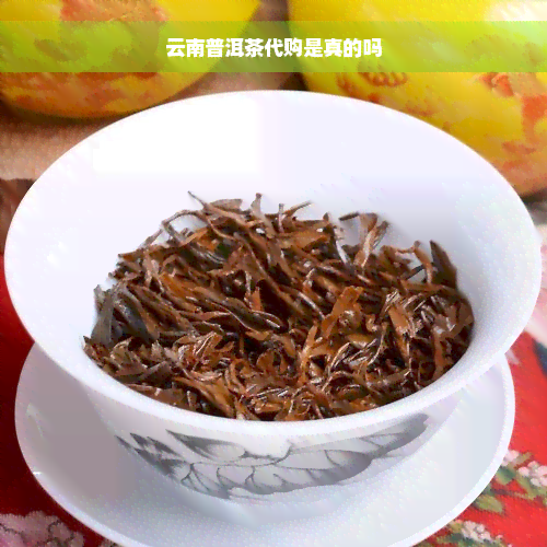 云南普洱茶代购是真的吗