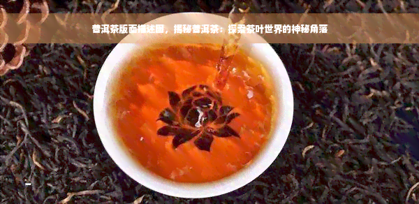 普洱茶版面描述图，揭秘普洱茶：探索茶叶世界的神秘角落