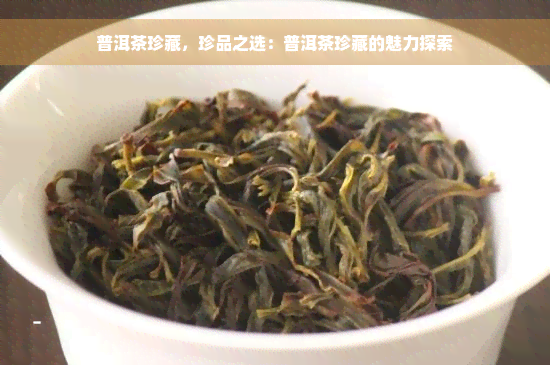 普洱茶珍藏，珍品之选：普洱茶珍藏的魅力探索