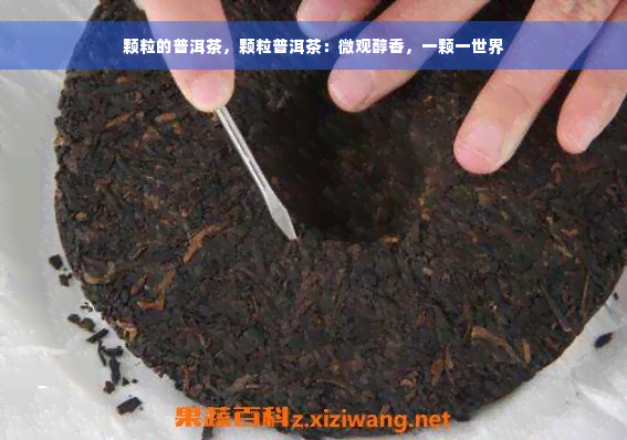 颗粒的普洱茶，颗粒普洱茶：微观醇香，一颗一世界