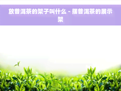 放普洱茶的架子叫什么 - 摆普洱茶的展示架