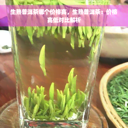 生熟普洱茶哪个价格高，生熟普洱茶：价格高低对比解析