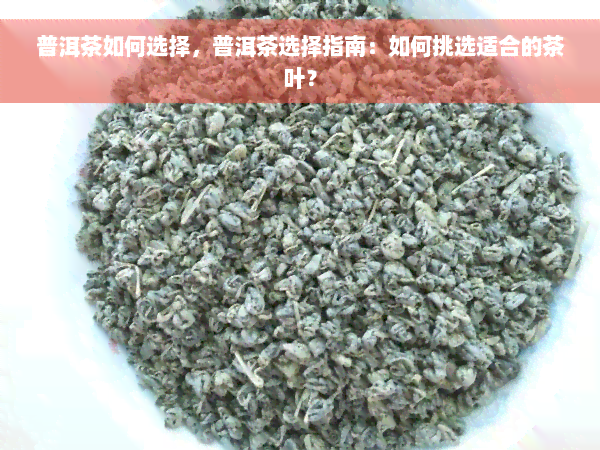 普洱茶如何选择，普洱茶选择指南：如何挑选适合的茶叶？