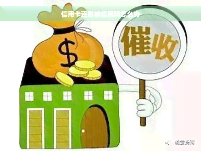 信用卡还影响信用吗怎么办