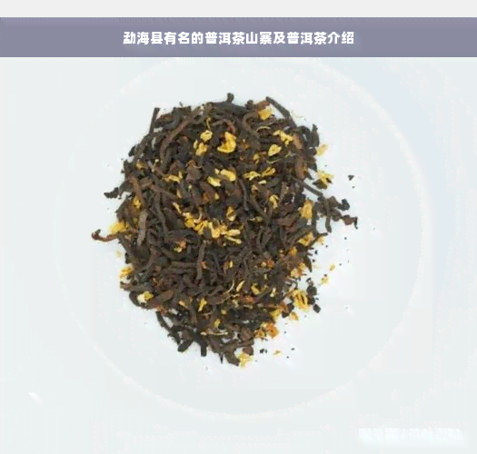 勐海县有名的普洱茶山寨及普洱茶介绍