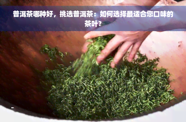 普洱茶哪种好，挑选普洱茶：如何选择最适合您口味的茶叶？