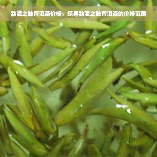 勐海之味普洱茶价格，探寻勐海之味普洱茶的价格范围