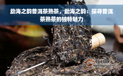 勐海之韵普洱茶熟茶，勐海之韵：探寻普洱茶熟茶的独特魅力