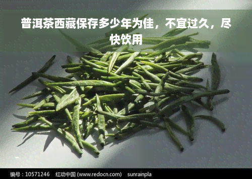 普洱茶 *** 保存多少年为佳，不宜过久，尽快饮用