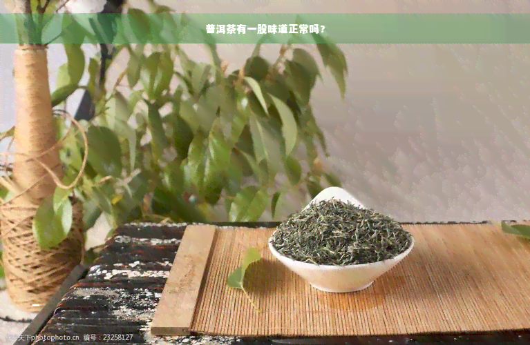 普洱茶有一股味道正常吗？