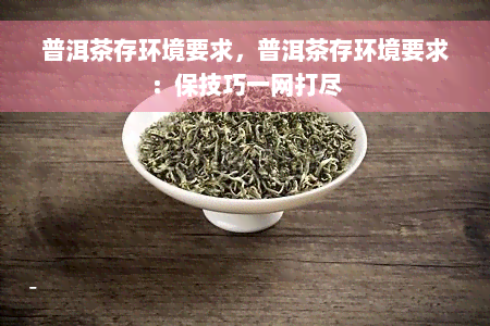 普洱茶存环境要求，普洱茶存环境要求：保技巧一网打尽