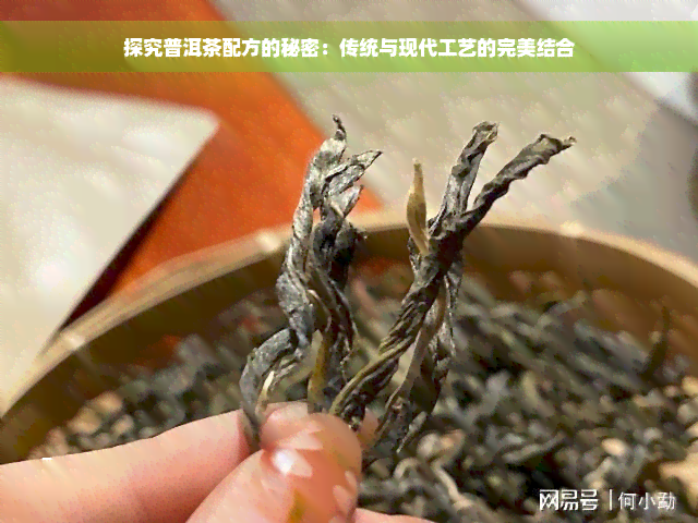 探究普洱茶配方的秘密：传统与现代工艺的完美结合