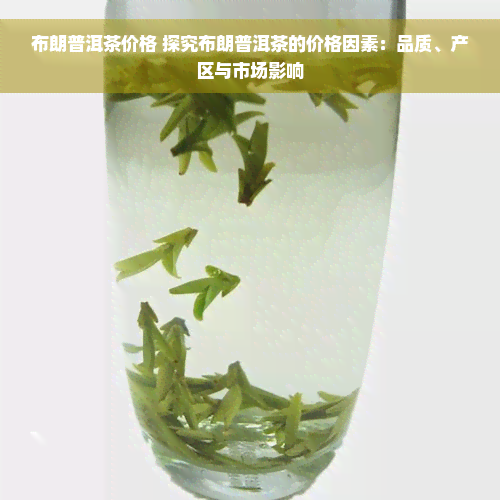 布朗普洱茶价格 探究布朗普洱茶的价格因素：品质、产区与市场影响