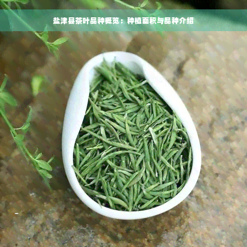 盐津县茶叶品种概览：种植面积与品种介绍