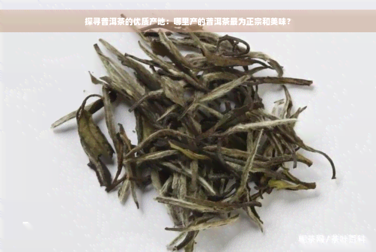 探寻普洱茶的优质产地：哪里产的普洱茶最为正宗和美味？