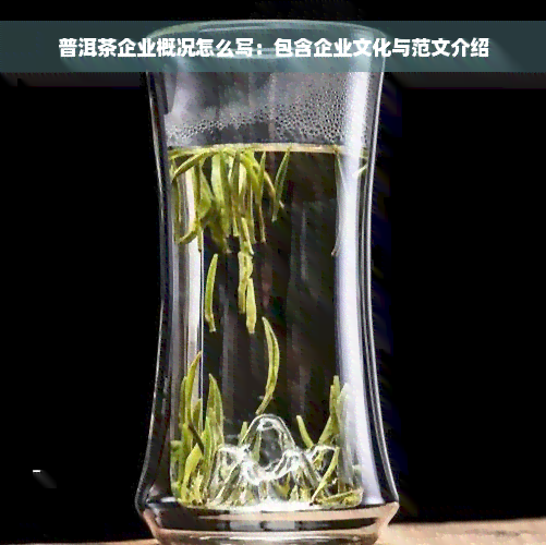 普洱茶企业概况怎么写：包含企业文化与范文介绍