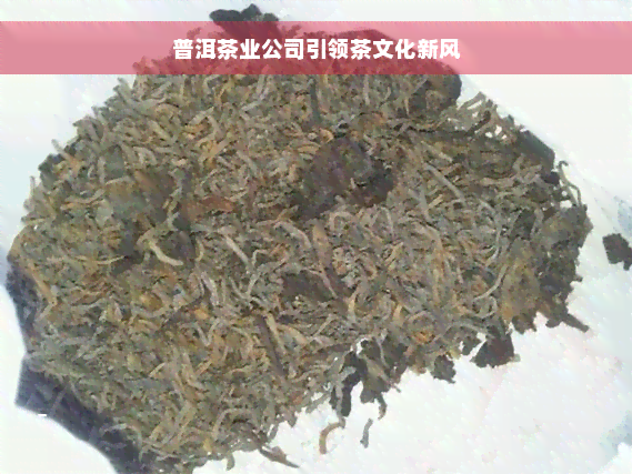 普洱茶业公司引领茶文化新风