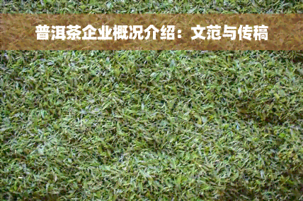 普洱茶企业概况介绍：文范与传稿