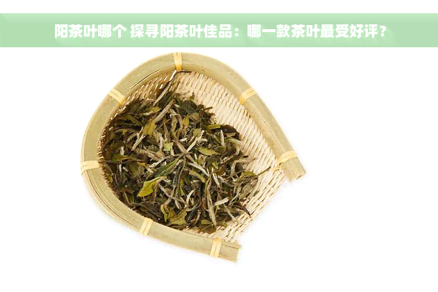 阳茶叶哪个 探寻阳茶叶佳品：哪一款茶叶最受好评？