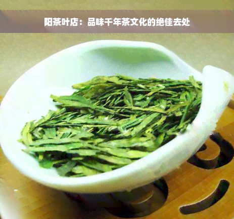 阳茶叶店：品味千年茶文化的绝佳去处