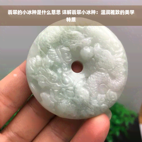 翡翠的小冰种是什么意思 详解翡翠小冰种：温润雅致的美学特质