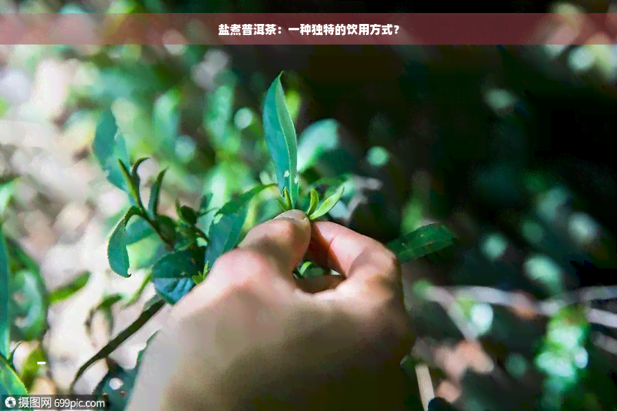 盐煮普洱茶：一种独特的饮用方式？