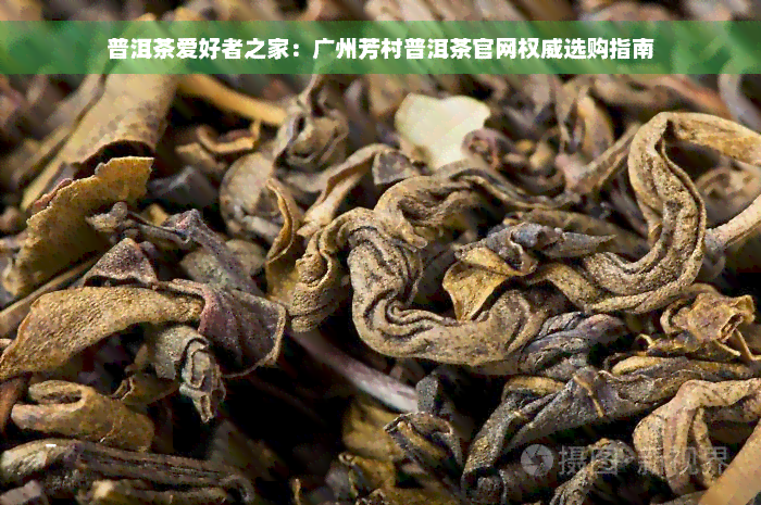 普洱茶爱好者之家：广州芳村普洱茶官网权威选购指南