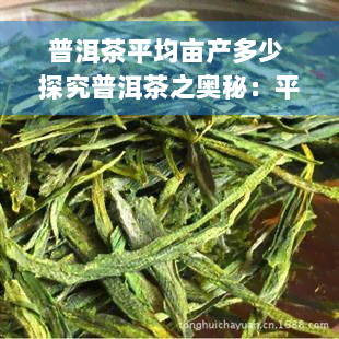 普洱茶平均亩产多少 探究普洱茶之奥秘：平均亩产究竟多少？