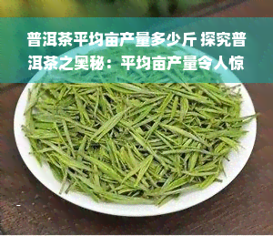 普洱茶平均亩产量多少斤 探究普洱茶之奥秘：平均亩产量令人惊讶