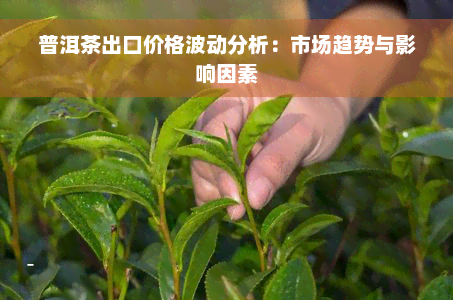 普洱茶出口价格波动分析：市场趋势与影响因素