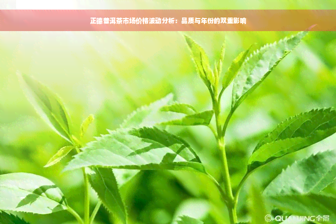 正德普洱茶市场价格波动分析：品质与年份的双重影响