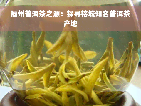 福州普洱茶之源：探寻榕城知名普洱茶产地