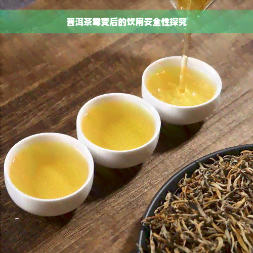 普洱茶霉变后的饮用安全性探究