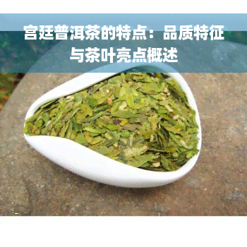 宫廷普洱茶的特点：品质特征与茶叶亮点概述