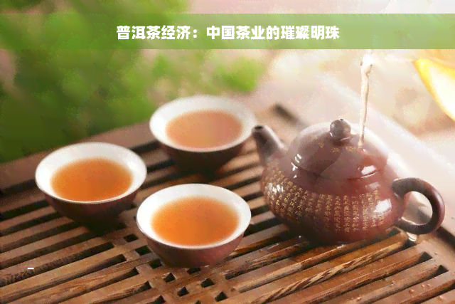 普洱茶经济：中国茶业的璀璨明珠