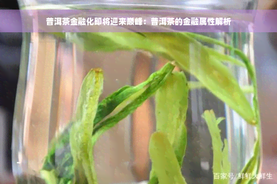 普洱茶金融化即将迎来巅峰：普洱茶的金融属性解析