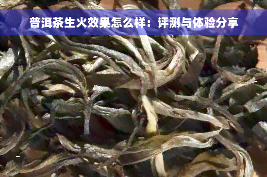 普洱茶生火效果怎么样：评测与体验分享