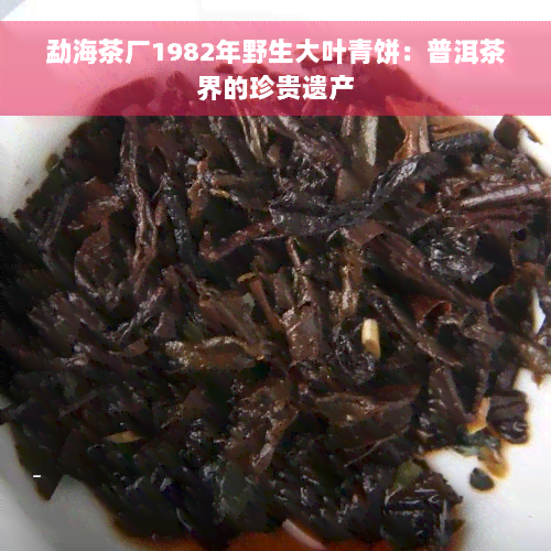 勐海茶厂1982年野生大叶青饼：普洱茶界的珍贵遗产