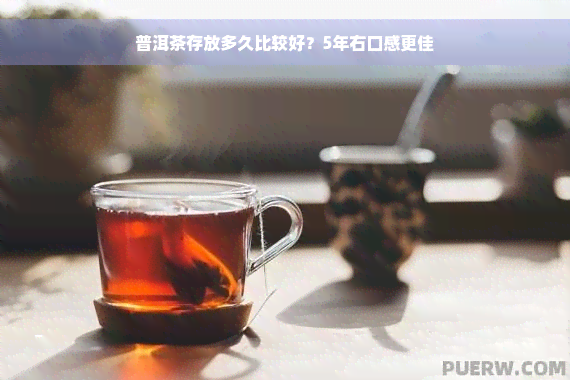 普洱茶存放多久比较好？5年右口感更佳