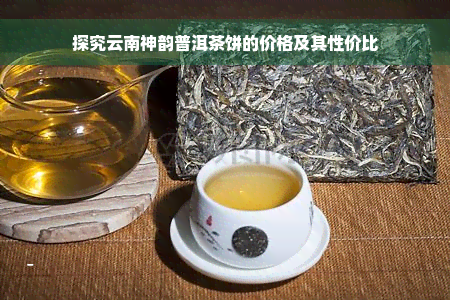 探究云南神韵普洱茶饼的价格及其性价比