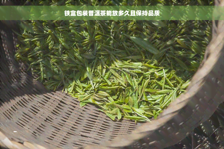 铁盒包装普洱茶能放多久且保持品质