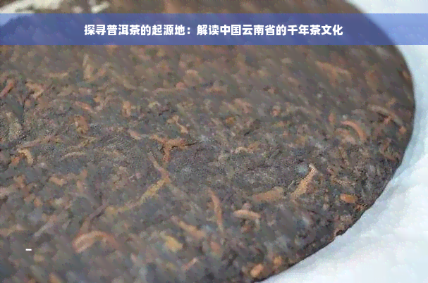 探寻普洱茶的起源地：解读中国云南省的千年茶文化