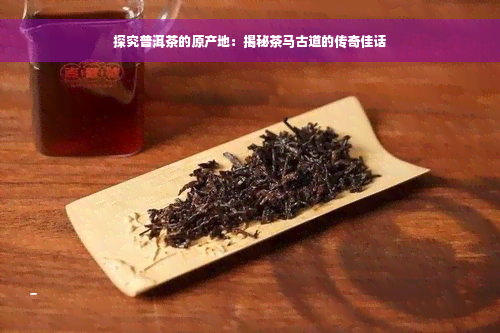 探究普洱茶的原产地：揭秘茶马古道的传奇佳话