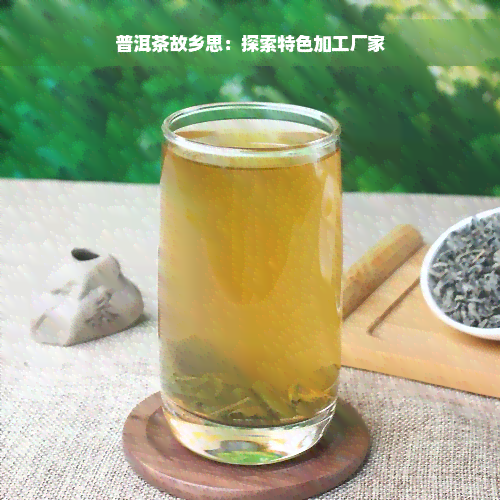 普洱茶故乡思：探索特色加工厂家