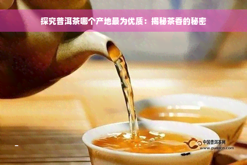 探究普洱茶哪个产地最为优质：揭秘茶香的秘密