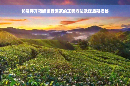 长期存开箱罐装普洱茶的正确方法及保质期揭秘