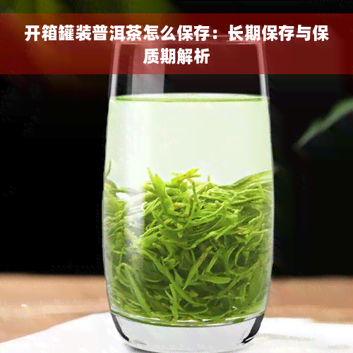 开箱罐装普洱茶怎么保存：长期保存与保质期解析