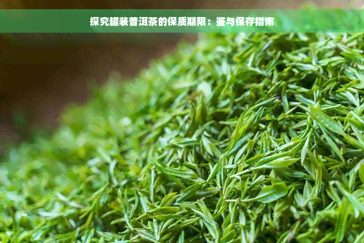 探究罐装普洱茶的保质期限：鉴与保存指南