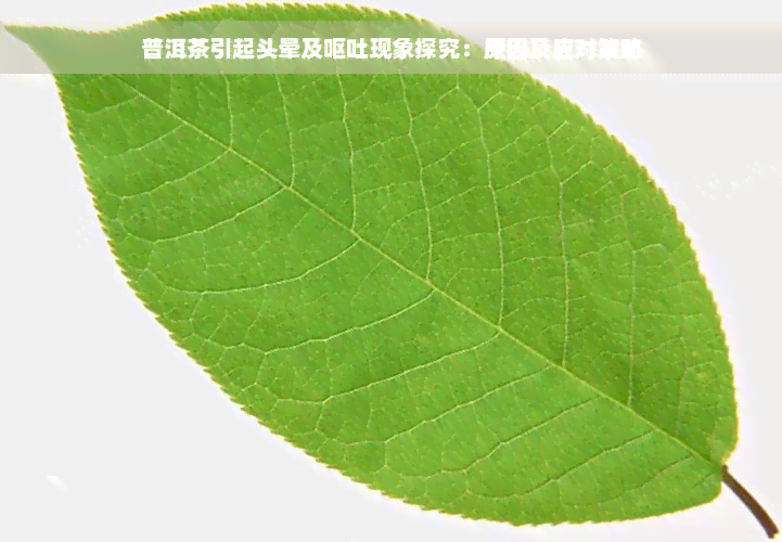 普洱茶引起头晕及呕吐现象探究：原因及应对策略